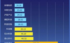 科创板迎来第100家企业上市总市值超13万亿元2025年5月29日光云科技