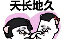 吃瓜娱乐姐妹微博,揭秘娱乐圈幕后故事与趣味瞬间”
