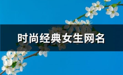 时尚网名大全,时尚网名大全精选解析