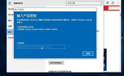 win10 key,获取、使用与维护指南