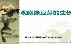 观察绿豆芽的生长ppt,绿豆芽生长观察与实验探究