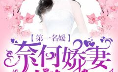 盛莞莞凌霄全文免费阅读小说,名媛娇妻太惹眼——盛莞莞与凌霄的甜蜜纠葛