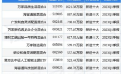 519005基金净值,投资价值与市场表现深度剖析