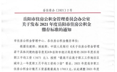 岳阳市住房公积金查询,便捷查询与注意事项解析