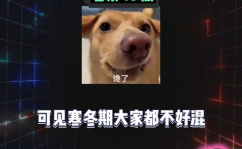 吃瓜娱乐八卦号是什么,揭秘网络“吃瓜”娱乐八卦号的魅力与影响