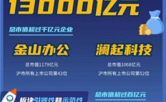 科创板迎来第100家企业上市总市值超13万亿元2025年5月29日光云科技