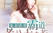 错爱修理厂小说全文免费阅读全文,阿峰与莹莹的汽修情缘