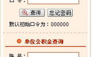 岳阳市住房公积金查询,便捷查询与注意事项解析