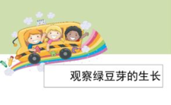 观察绿豆芽的生长ppt,绿豆芽生长观察与实验探究
