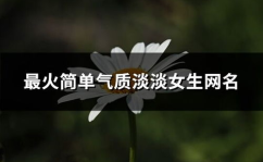 时尚网名大全,时尚网名大全精选解析