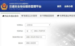汽车违章查询网站,汽车违章查询网站使用指南与常见问题解答”