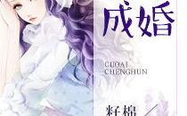 错爱修理厂小说全文免费阅读全文,阿峰与莹莹的汽修情缘