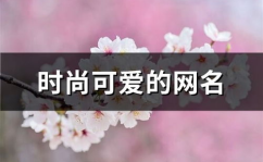 时尚网名大全,时尚网名大全精选解析